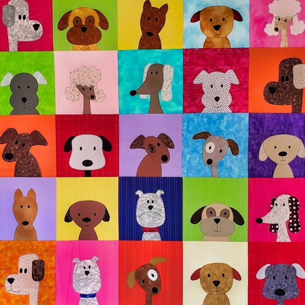 bright coloured fabric backgrounds, each one of which has a dog face on it.